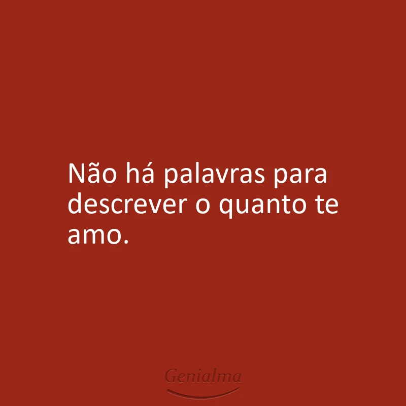 Não há palavras para descrever o quanto te amo.