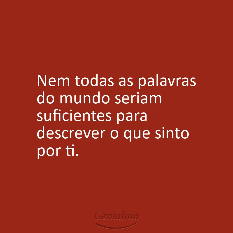 Nem todas as palavras do mundo seriam suficientes para descrever o que sinto por ti.