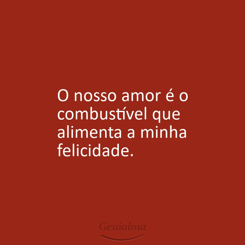 O nosso amor é o combustível que alimenta a minha felicidade.
