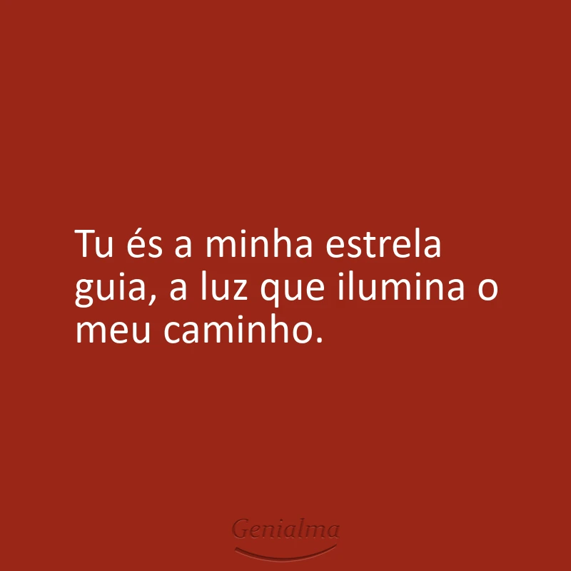Tu és a minha estrela guia, a luz que ilumina o meu caminho.