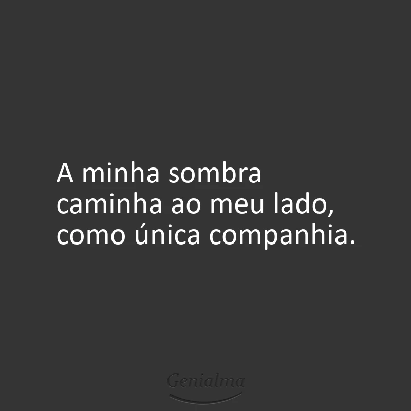 A minha sombra caminha ao meu lado, como única companhia.