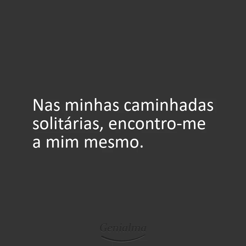 Nas minhas caminhadas solitárias, encontro-me a mim mesmo.